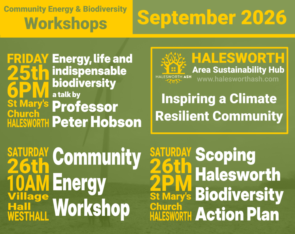 Poster image promoting upcoming HalesworthASH Community Energy and Biodiversity Workshops